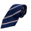 Picture of The Army Air Corps Tie - Polyester