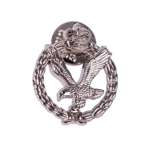 Picture of AAC Regimental Lapel Pin