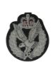 Picture of Blazer Badge - AAC - B/W