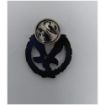 Picture of AAC Regimental Lapel Pin