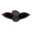 Picture of The Army Air Corps Subdued AAC Pilot Wings - Tudor Crown