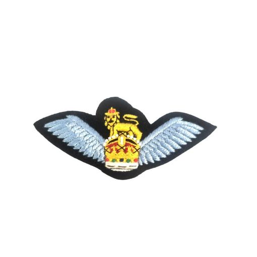 Picture of Army Air Corps Pilot Wings - Working & No 2 Dress - Tudor Crown