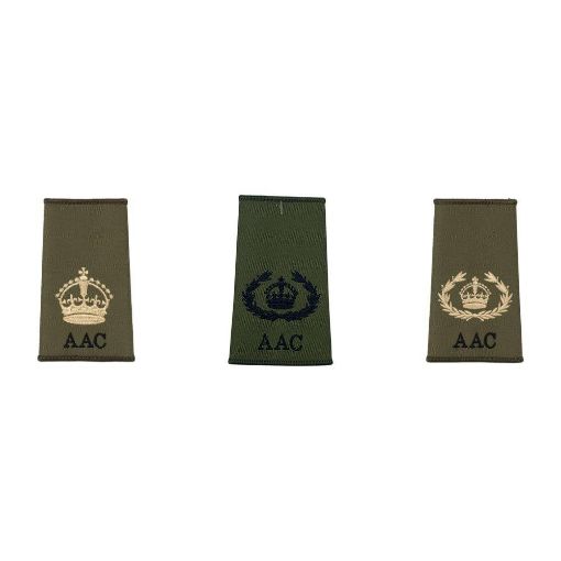Picture of Aviation Warrant Officer Rank Slides