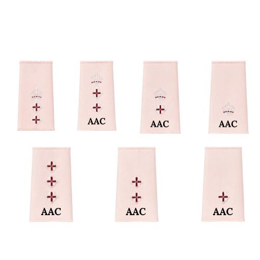 Picture of Army Air Corps Comm. Officer Rank Slides - Parchment